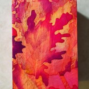 Astin Green (Fort Wayne, Indiana) - "Leaf Me Alone" - Decoupage