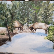 Suzanne Schuckel (New Haven, Indiana) - "Battle of the Bulls" - Acrylic