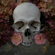 Kenneth Allen (Columbia City, Indiana) - "Untitled" - Photography