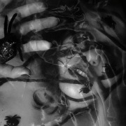 Hailey Sueoka (Indiana) - "Webs" - Photography