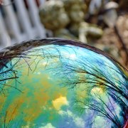 Stephanie Wysong (Indiana) - "Gazing Ball - Photography