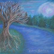 Cynthia Gabbard (Fort Wayne, Indiana) - "Silver Night" - Acrylic, Colored Pencil