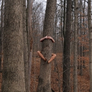 Natalie Householder (Indiana) - "Clingy" - Photography