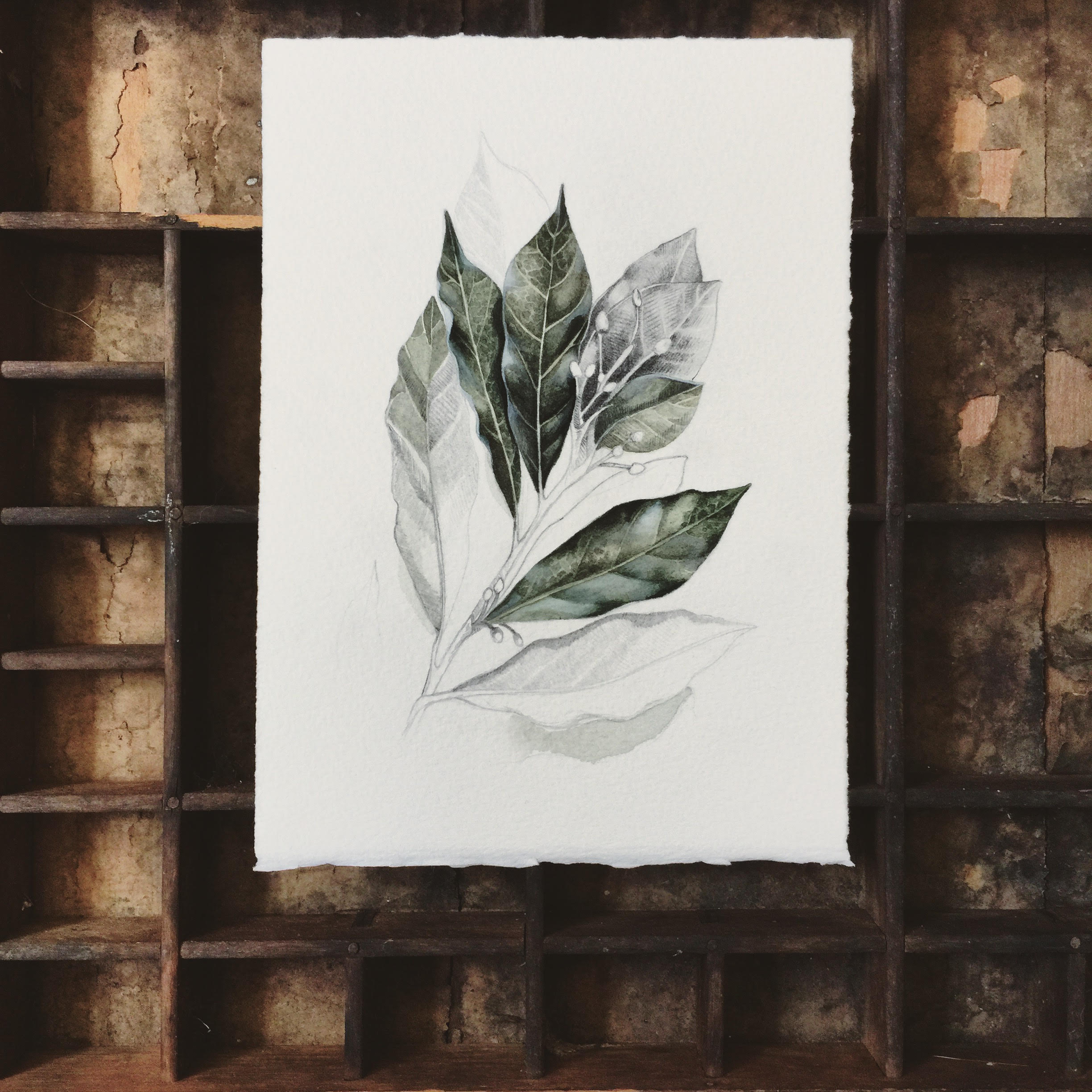 SHOW OPENING | Dennis Hettler, Justine Hettler, and Justin Johnson