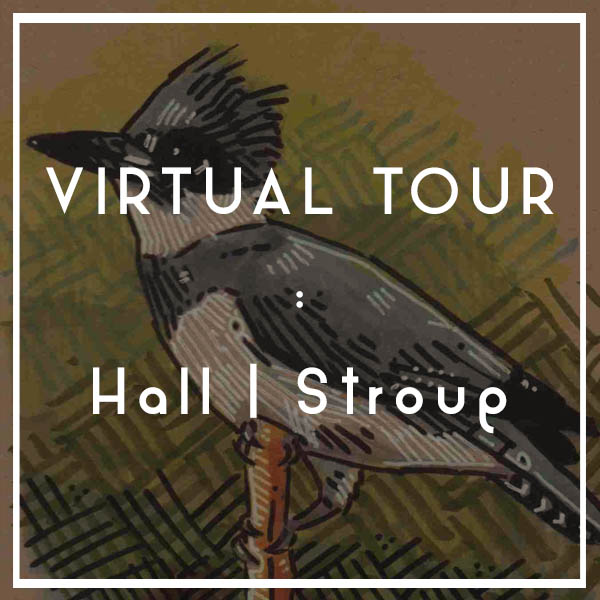 Virtual Tour for Alexandra Hall and Jeremy Stroup at the Garrett Museum of Art