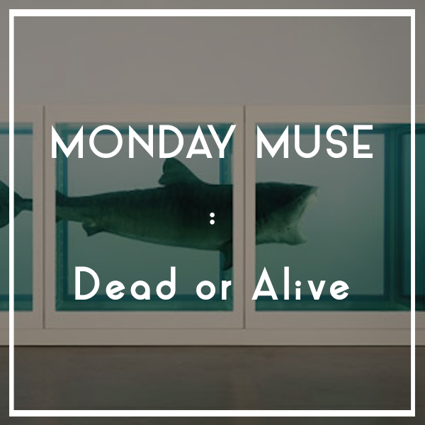 MONDAY MUSE | Dead or Alive
